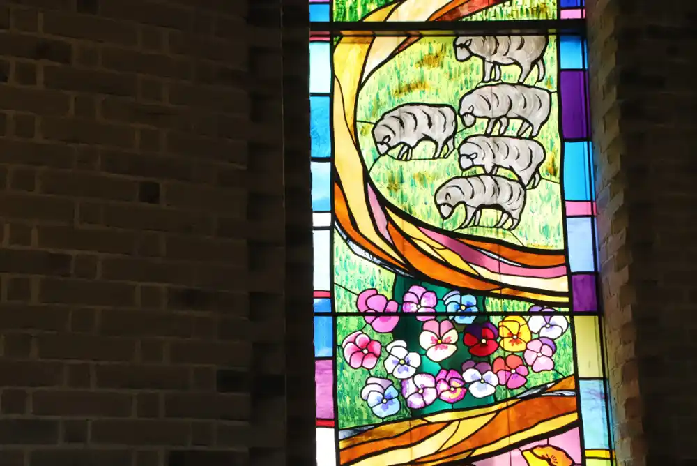 聖イグナチオ教会 主聖堂　ステンドグラス「野の花と道」に描かれた羊