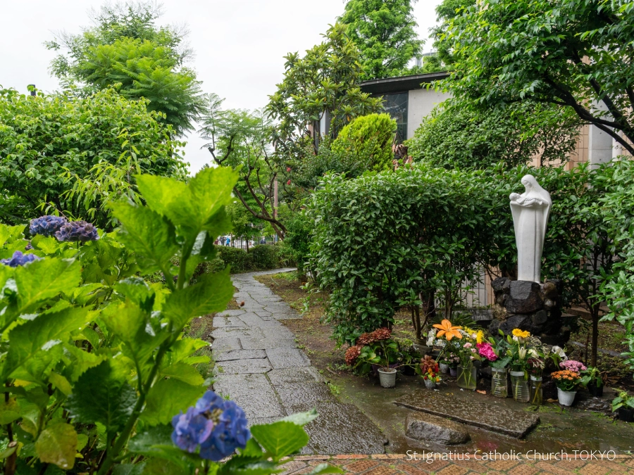 雨の日の主聖堂脇の聖母子像。手前にアジサイ、奥へ続く道。