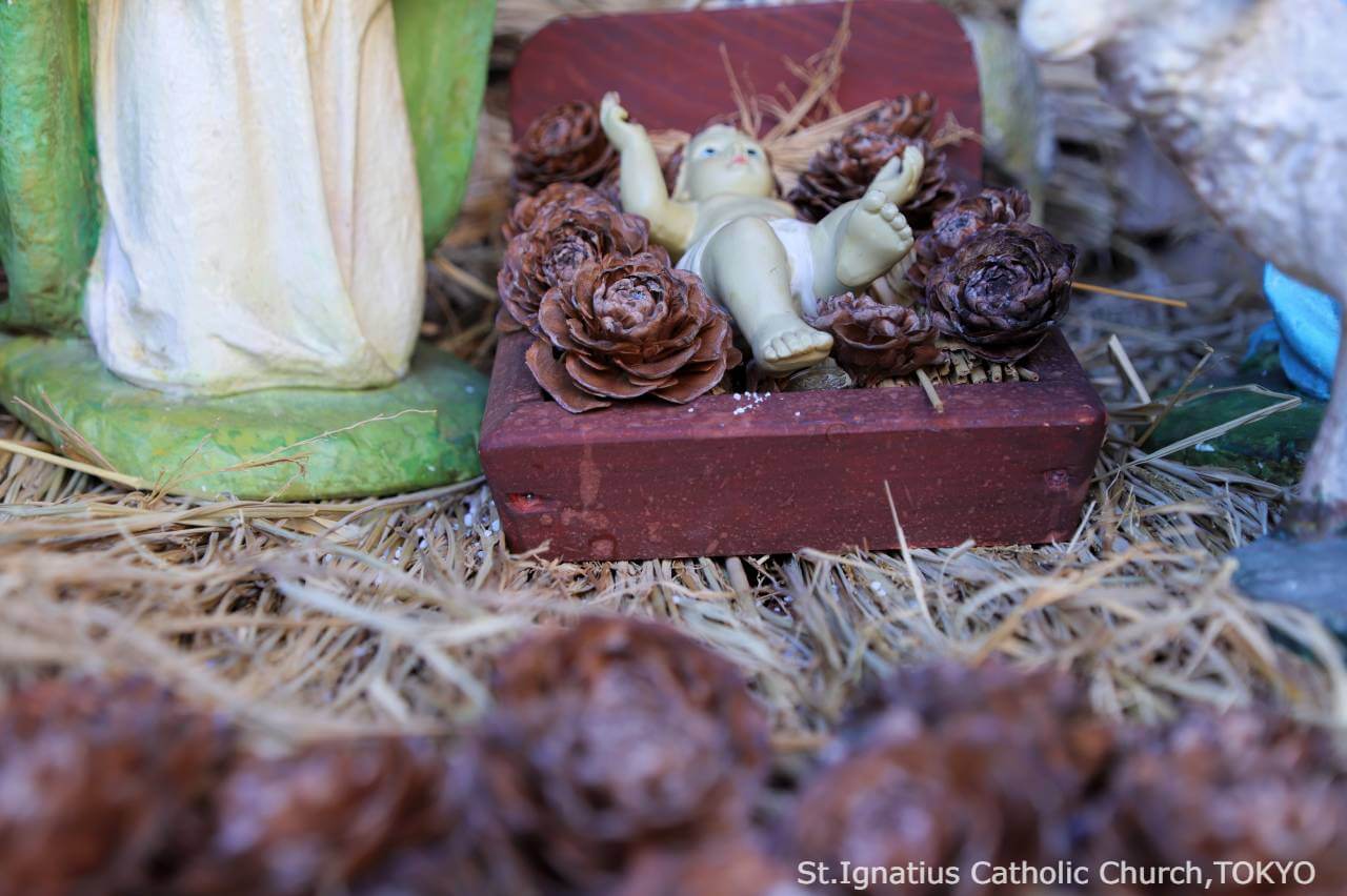 2023年1月8日 主の公現の祭日 主聖堂前の馬小屋の幼子イエス様。シダーローズに囲まれている。 カトリック麹町 聖イグナチオ教会