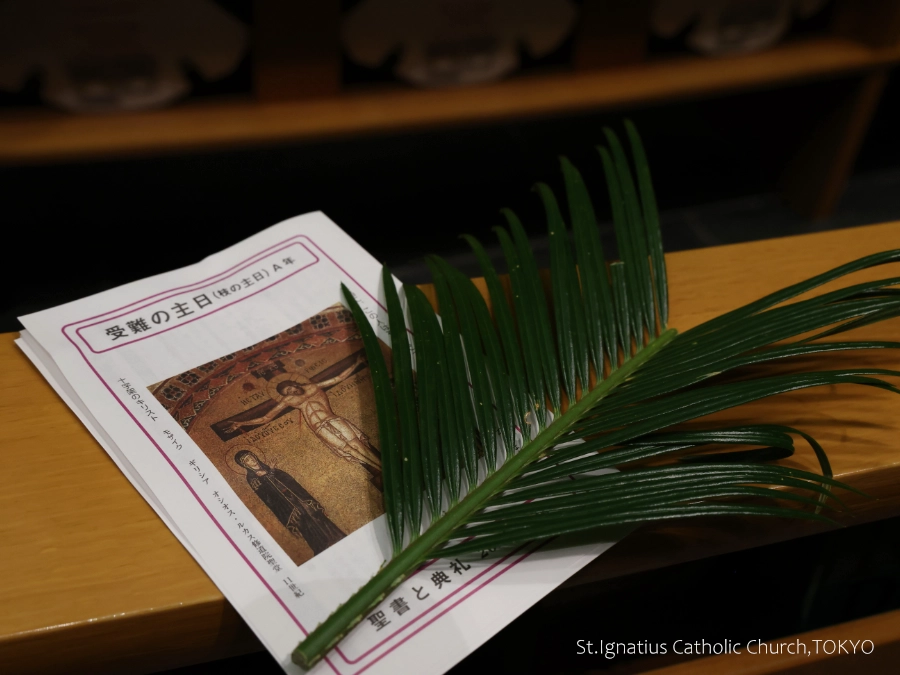 3/29(日)10:00- 受難の主日(枝の主日) 聖書と典礼、上にはしゅろの葉
