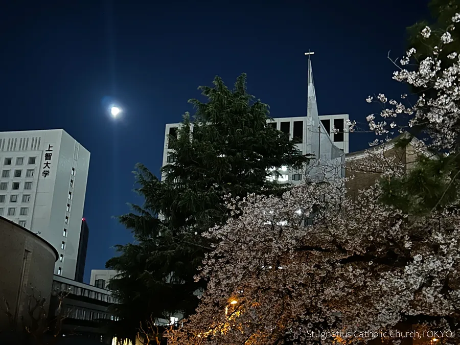 4/2(木)19:00- 主の晩さんの夕べ(聖木曜日) 月と桜